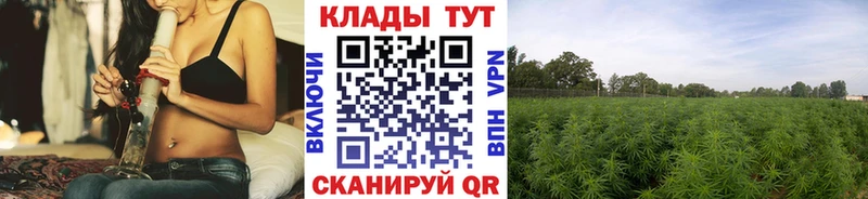 Продажа наркотиков Первомайск Каннабис  АМФЕТАМИН  Меф мяу мяу 