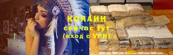 стаф Горно-Алтайск